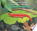 Libro About Amphibians / Sobre los anfibios