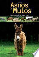 Libro Asnos y mulos