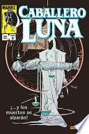 Libro Biblioteca Caballero Luna 8