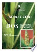 Libro Boro y Zinc: Dos elementos limitantes en Colombia