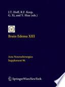 Libro Brain Edema XIII