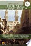 Libro Breve historia de las ciudades del mundo medieval