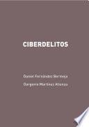 Libro Ciberdelitos