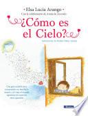 Libro ¿Cómo es el cielo?