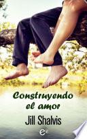Libro Construyendo el amor