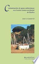 Libro CONTAMINACIÓN DE AGUAS SUBTERRÁNEAS EN EL SECTOR COSTERO OCCIDENTAL DE HUELVA