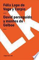 Libro David Perseguido Y Montes de Gelboe