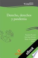 Libro Derecho, derechos y pandemia