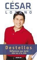 Libro Destellos: Reflexiones que daran mas luz a tu vida / Thoughts for a Brighter Life