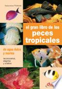Libro EL GRAN LIBRO DE LOS PECES TROPICALES