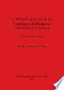 Libro El poblado arévaco de los Castillejos de Pelegrina, Guadalajara (España)