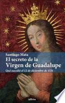 Libro El Secreto de la Virgen de Guadalupe