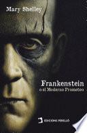 Libro Frankenstein; o El Moderno prometeo