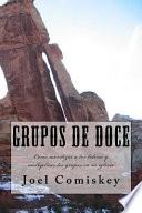 Libro Grupos de Doce: Como Movilizar a Los Lideres y Multiplicar Los Grupos En Su Iglesia