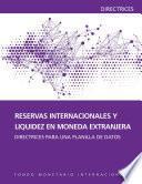 International Reserves and Foreign Currency Liquidity: Guidelines for a Data Template