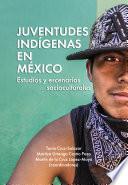 Libro Juventudes indígenas en México