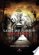 Libro La luz que floreció entre las sombras