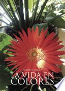 Libro La Vida En Colores