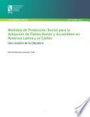 Libro Medidas de protección social para la adopción de dietas sanas y accesibles en América Latina y el Caribe: Una revisión de la literatura