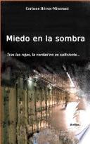 Libro Miedo En La Sombra