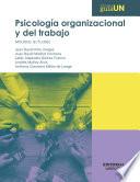 Libro Psicología organizacional y del trabajo