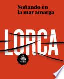 Libro Soñando en la mar amarga (Flash Poesía)