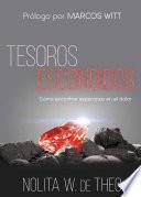 Libro Tesoros Escondidos