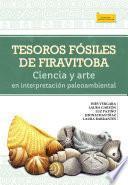Libro Tesoros fósiles de Firavitoba
