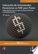 Libro Valoración de instrumentos financieros y arrendamientos en NIIF para Pymes. 3a Edición