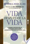 Libro Vida Despues de la Vida