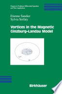 Libro Vortices in the Magnetic Ginzburg-Landau Model